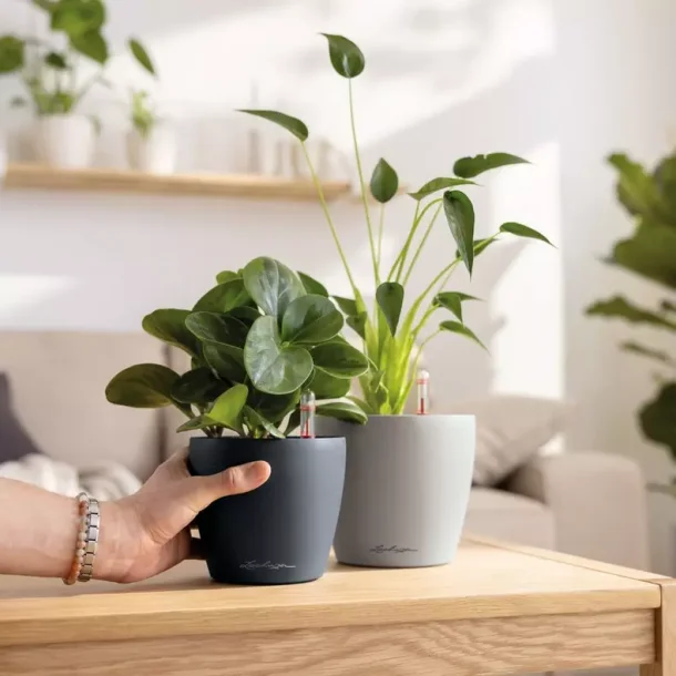 Classico color 12 - Slate