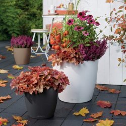 Lechuza Classico Color krukke til blomster med selvvandingssystem 
