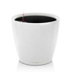 Lechuza Classico Premium LS indendrs krukke til blomster med selvvandingssystem 