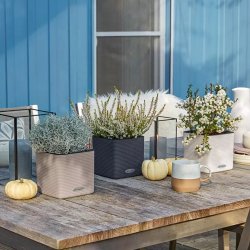 Lechuza  Cube Color 14 indend�rs krukke til blomster med selvvandingssystem 13,5 