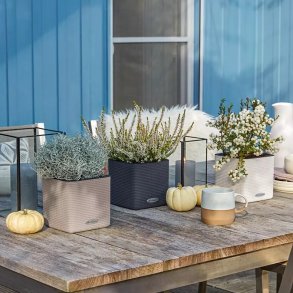 Lechuza  Cube Color 14 indendrs krukke til blomster med selvvandingssystem 13,5 