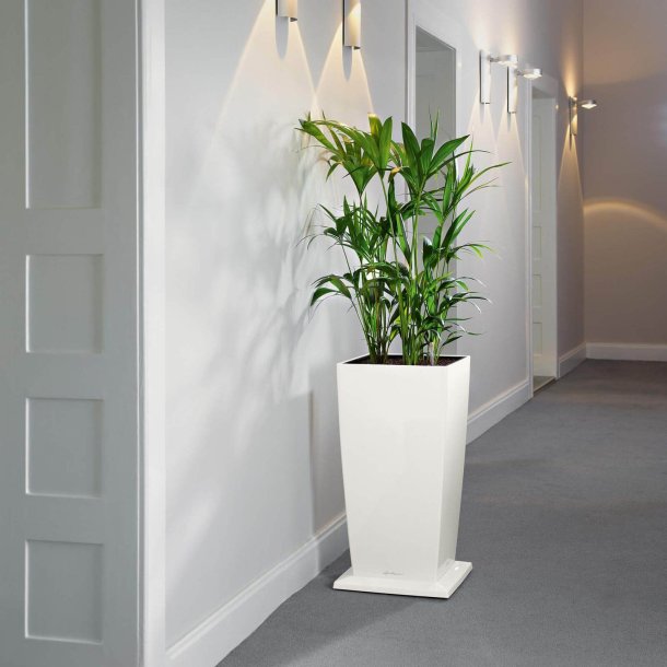 Lechuza  Cubico Premium indendrs krukke til blomster med selvvandingssystem 