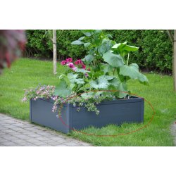 GrowCamp plank 500x25x1140 mm