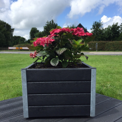 Blomma Pumpar Med Hjul. Galv. H&ouml;rn (Quad.)