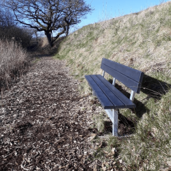 Bnk til nedstbning med rygln