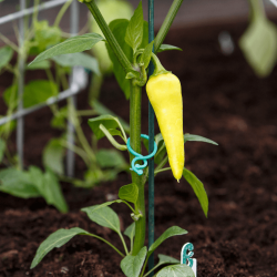 Twist rings - 40 pcs