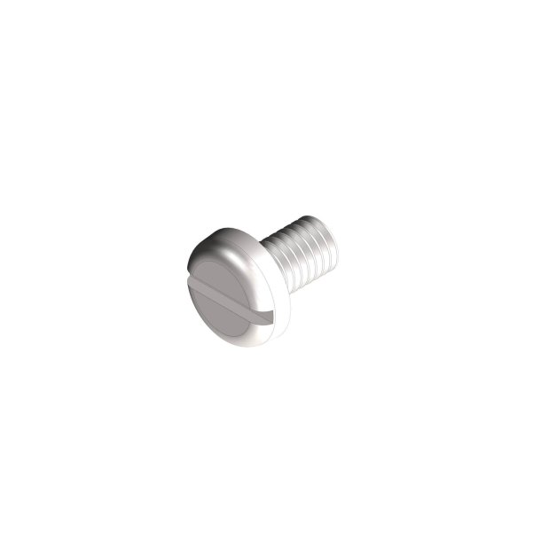 Stainless steel flat head screw - straight slot 6 x 10 mm
