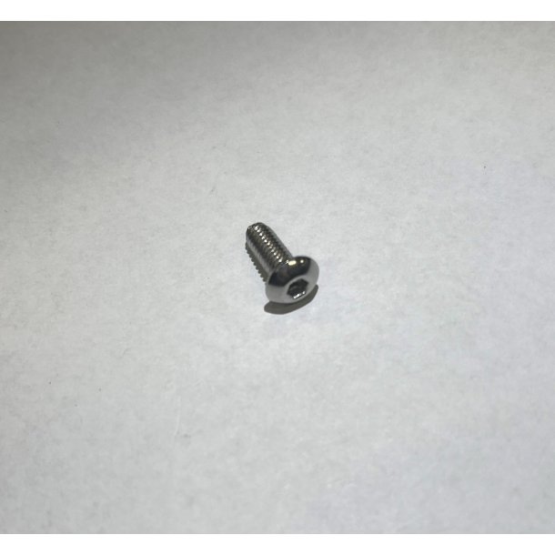 4 x 10 mm stainless screw FRH