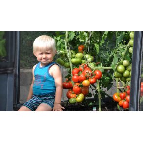 GrowCamp Greenhouse 5,7 m2  HIGH - PVC