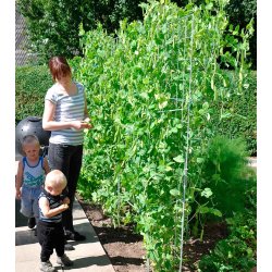 Trellis galvanized 91x105 cm