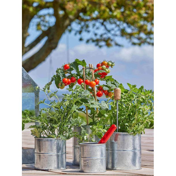 Galvaniserede Urtepotte (st m. 3 stk. / 3 str.)