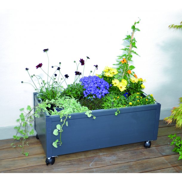 Hjbed i PVC. Inkl. GrowWater, bund og hjul 30x90x44 cm