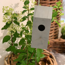 A2 Living hngefuglehus hjde 20,5 cm 