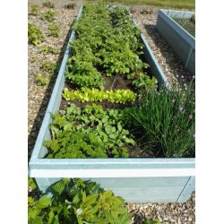 Hjbed Classic Med Augerkant - Gr