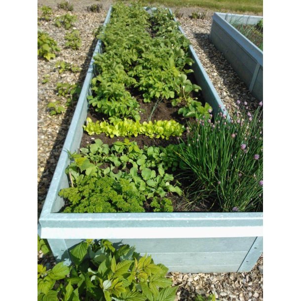 Hjbed Classic Med Augerkant - Gr