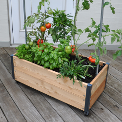 Hjbed i sibirisk lrk. Inkl. GrowWater 30x90x44 cm