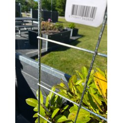 2. Sorterings espalier 40x80 cm