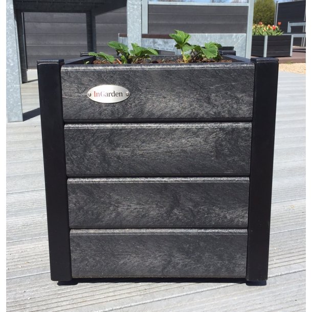 Blomma Pumpar Med Hjul. Svarta H&ouml;rn (Quad.)