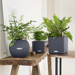 Lechuza  Puro Color 20 krukke til blomster med selvvandingssystem 