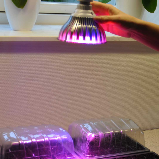 LED growth lamp 12W