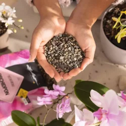 ORCHIDPON Plantesubstrat 3 liter