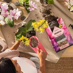 ORCHIDPON Plantesubstrat 3 liter