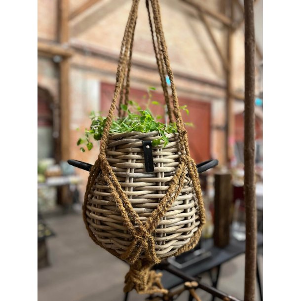 A2 Living Ophngsreb - Coconut Fibre