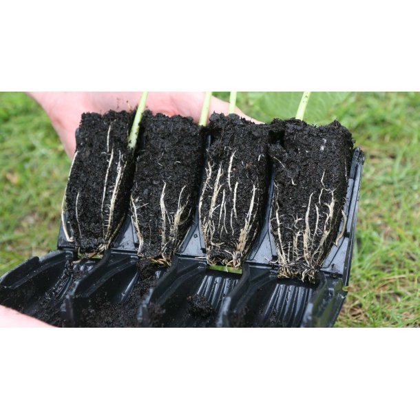 Roottrainer COMPACT set 