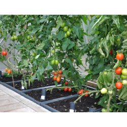 Hjbed i PVC. Inkl. GrowWater 30x90x44 cm