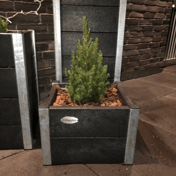 Blomsterkumme St Helrs