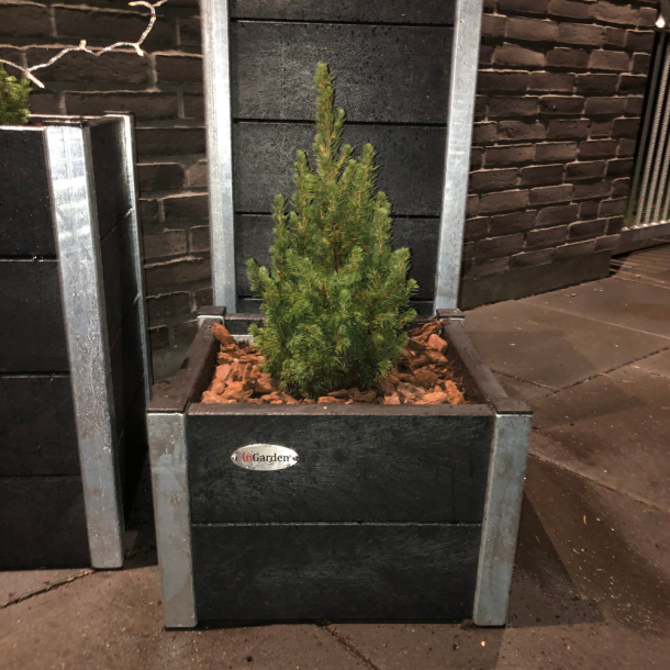 Lille Blomsterkumme Helrs