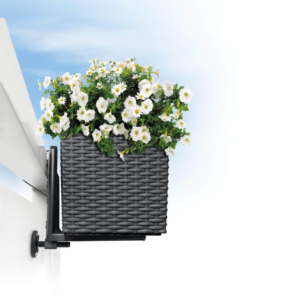 Lechuza Balconera Beslag