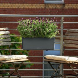 Lechuza Balconera Color udend�rs krukke til blomster med selvvandingssystem 