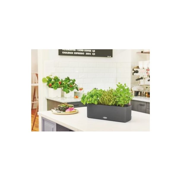 Lechuza  Cube Color Triple udend�rs krukke til blomster med selvvandingssystem 13,5