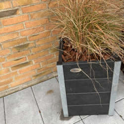 Medium Blomsterkumme Helrs