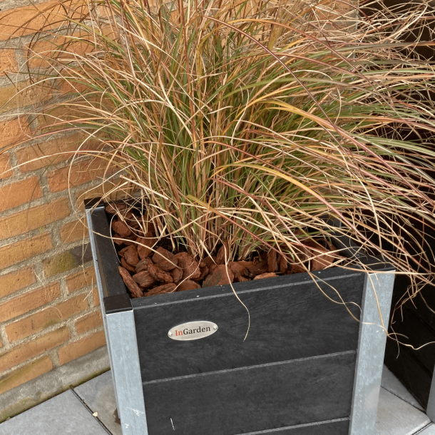 Medium Blomsterkumme Helrs