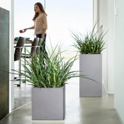 Lechuza Canto Stone High 30 udendrs krukke til blomster med selvvandingssystem 