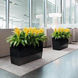 Lechuza Cararo indendrs krukke til blomster med selvvandingssystem 42,5 