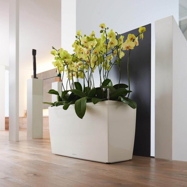 Lechuza Cararo indendørs krukke til blomster med selvvandingssystem 42,5 