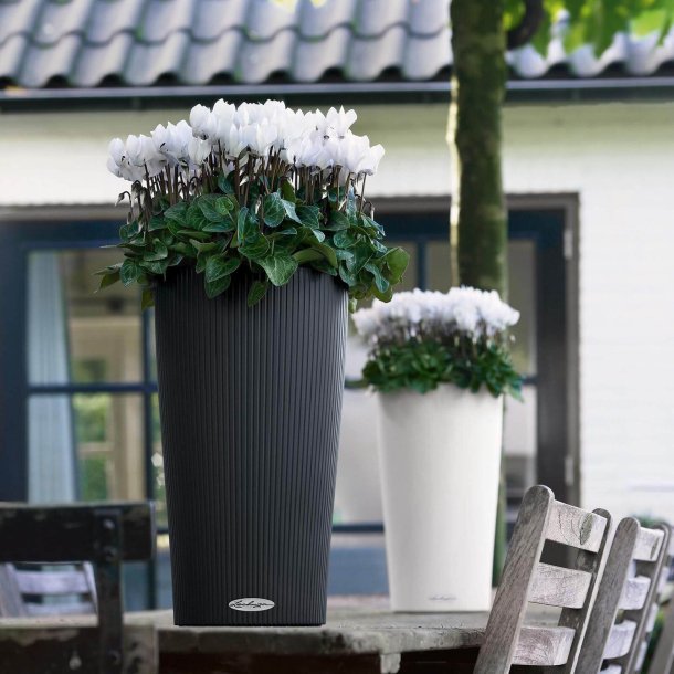 Lechuza Cilindro Color udendørs krukke til blomster med selvvandingssystem 