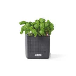 Lechuza  Cube Color 14 indend�rs krukke til blomster med selvvandingssystem 13,5 