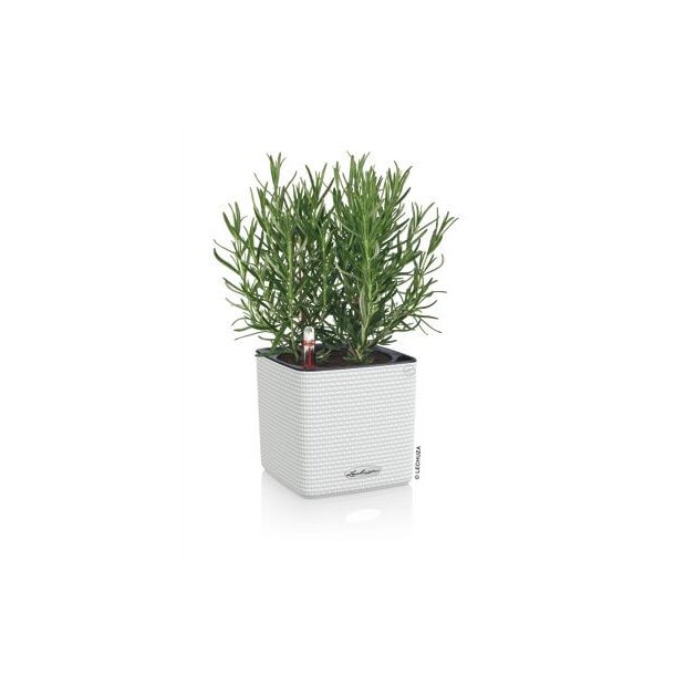 Lechuza  Cube Color 14 indend�rs krukke til blomster med selvvandingssystem 13,5 