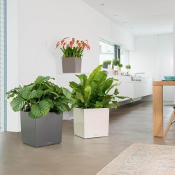 Lechuza  Cube indendrs krukke til blomster med selvvandingssystem 