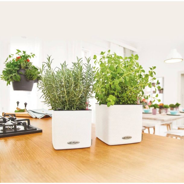 Lechuza Cube Color 16  krukke til blomster med selvvandingssystem