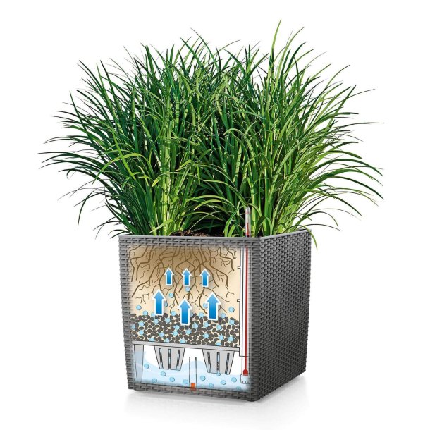 Lechuza Cube Cottage udendrs krukke til blomster med selvvandinssystem 
