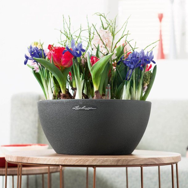 Lechuza Cubeto Stone udendrs krukke til blomster med selvvandingssystem  Graphite black &Oslash;30xH13 cm