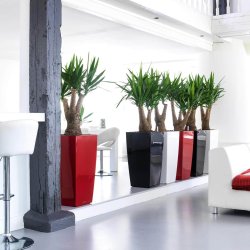 Lechuza  Cubico Premium indendrs krukke til blomster med selvvandingssystem 