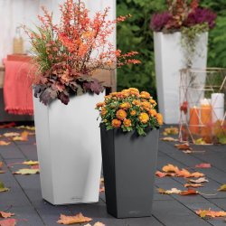 Lechuza Cubico Color krukke til blomster med selvvandingssystem 