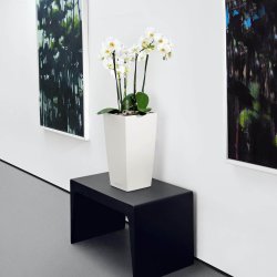 Lechuza Cubico Color krukke til blomster med selvvandingssystem 