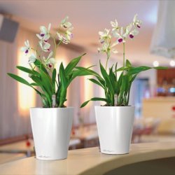 Lechuza  Deltini indendrs krukke til blomster med selvvandingssystem 19 